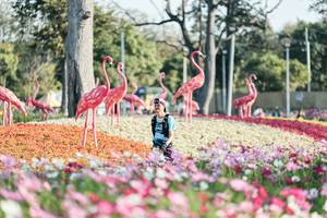 BIB: 
                            <button type="button" onclick="openModal(27344230)" class="btn btn-primary btn-sm float-right btn-popup" data-toggle="modal" data-target=".modal-high-quality">
                        <i class="fas fa-shopping-cart"></i> Add to Cart
                    </button>
                                            <button type="button" onclick="isThisMe(27344230, true)" class="btn btn-success btn-sm float-right btn-popup btn-isme hidden" data-toggle="tooltip" data-placement="bottom" title="นี่คือรูปของคุณใช่ไหม คลิกที่นี่เพื่อเอาเข้าอัลบั้ม">
                        <i class="fas fa-plus"></i> Add to album
                    </button>
                    <button type="button" onclick="isThisMe(27344230, false)" class="btn btn-warning btn-sm float-right btn-popup btn-isnotme hidden">
                        <i class="fas fa-ban"></i> Remove from album
                    </button>